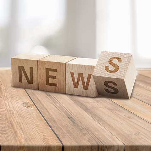 撕碎機的設計原理是什么，撕碎機和破碎有什么區別？